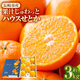 【ふるさと納税】 ハウスせとか 3kg 化粧箱セット | せとか みかん 高級 高級みかん 柑橘類 フルーツ 旬 長崎市 送料無料 オンライン決済限定 アフター保証【2027年2月下旬～3月上旬発送予定】