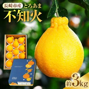 yӂ邳Ɣ[Łzs\I sm 3kgZbg | Gߌ ʂ ʕ  t[c ݂ ~J k n nEX͔| At^[ۏ ICό y2026N3{`{