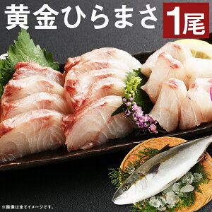 yӂ邳Ɣ[ŁzywK{zЂ܂ 1 4kg`5kg {BЂ܂ Ђ܂ qX  N CN sY BY ①  yVX[p[SALE 9J