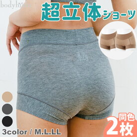 【ふるさと納税】【7営業日以内発送】テンセル(TM)繊維 超立体ショーツ スタンダード丈 同色2枚セット ブラック/モカ/杢チャコール M/L/LL 選べるカラー 選べるサイズ ショーツ ボックスショーツ 下着 レディース パンツ 長崎市 送料無料