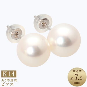 yӂ邳Ɣ[Łz^i7.5mmj sAX K14zCgS[h K14WG 14 AR{^ p[ fB[X WG[ ANZT[ t@bV  茧 s  yVX