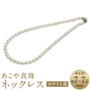 yӂ邳Ɣ[Łz^i7-7.5mmj lbNX zCgn Eh~Z~Eh 42cm SV Vo[  zCgn p[ fB[X  ANZT[ WG[ t@bV 