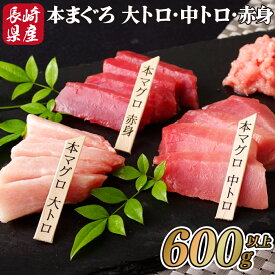【ふるさと納税】 長崎県産 本マグロ 大トロ 中トロ 赤身 セット 600g 以上 産地直送 タレ付き 冷凍 真空パック 小分け 刺身 本鮪 マグロ まぐろ 鮪 刺身 新鮮 魚貝 鮮魚 海鮮丼 本家永松家 長崎県 佐世保市