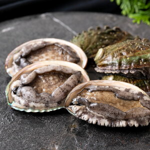 �y�ӂ邳�Ɣ[�Łz����(���������)���S�{�B�����ێY�����10��