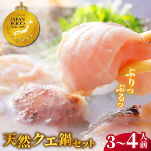 yӂ邳Ɣ[Łzy12/21܂ł̊񕍂ŔNzyUz茧Y VR NG 3`4lO N Nz y悩zJFSOv Ⓚ  Mtg CN CNZbg NG