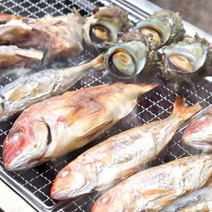 【ふるさと納税】九十九島高島浜焼きBBQセット大盛
