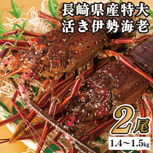 yӂ邳Ɣ[Łz茧Y ɐCV TCY 2Zbg v1.4kg`1.5kg NxQ hgp X` Mtgp CN Y ՂՂ H Â C̍K ێs 