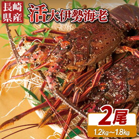 【ふるさと納税】 【 産地直送 】 長崎県産 活き 伊勢海老 2尾 ( 600g ～ 900g × 2 ) 新鮮 イセエビ いせえび 伊勢えび 刺身 ヤマサ水産 長崎県 佐世保市
