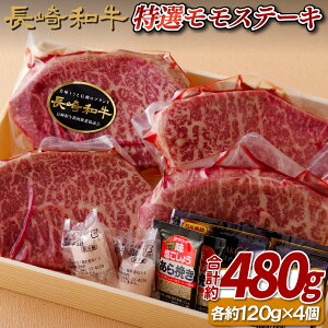 yӂ邳Ɣ[Łza A5 IXe[L 480g (120g×4) Ⓚ ō Mtg  ̂  䒆 Ε Ε a  јa Ԑg  Xe[L ̑