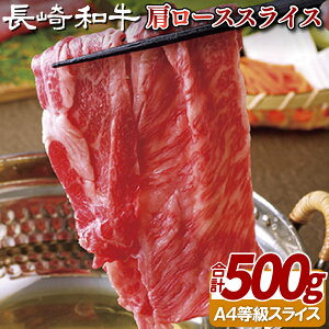 yӂ邳Ɣ[Łza [XXCX 500g A4ȏ Ă Ԃ Ⓚ ō Mtg  ̂  䒆 Ε Ε a  јa