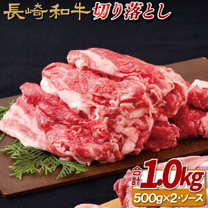 yӂ邳Ɣ[Łza ؂藎Ƃ 1kg (500g×2pbN) ςÐhXe[L\[Xt lXȃV`G[VŊ  Ă Ⓚ ō Mtg  ̂  