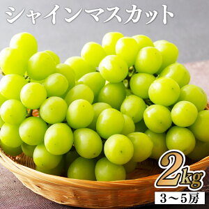 �y�ӂ邳�Ɣ[�Łz�V���C���}�X�J�b�g2kg