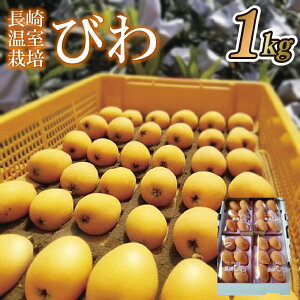 yӂ邳Ɣ[Łz艷͔|т(2LELEMTCY1,000g)