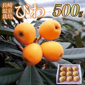 yӂ邳Ɣ[Łz艷͔|т(2LELTCY500g)