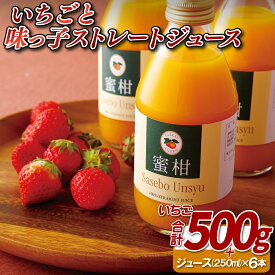 【ふるさと納税】ゆめのかいちごと味っ子ストレートジュースセット