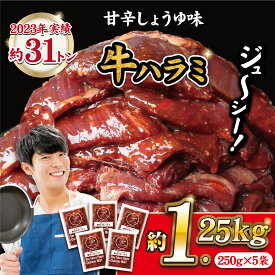 【ふるさと納税】秘伝のタレ 厚切り牛ハラミ 計1.25kg (250g×5パック) コスパ 牛肉 焼肉 焼肉用 焼肉セット BBQ バーベキュー 焼くだけ 簡単 冷凍 小分け 個包装 真空パック タレ漬け おつまみ 加工品 ハラミ 肉 大容量 大量 佐世保 長崎 豊味館