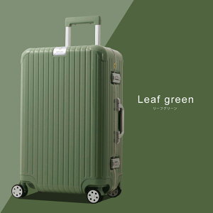 yӂ邳Ɣ[ŁzDL-2823 X[cP[X M [tO[