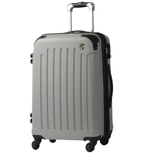 yӂ邳Ɣ[ŁzFK1037-1X[cP[XLMCgVo[(FK1037-1_26lisi)