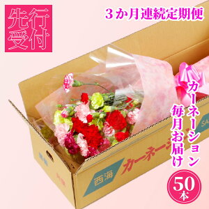 yӂ邳Ɣ[Łz J[l[V  S3 Nx ؂50{ l Ԕ_ƒ YJ[l[V Ԃ ̓ v[g Mtg  ؉ Ԃ̂炵 Bڒn