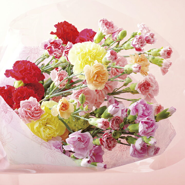 楽天市場 ふるさと納税 母の日 カーネーション 花束 セット プレゼント 花 ギフト ラッピング 送料無料 長崎県佐世保市