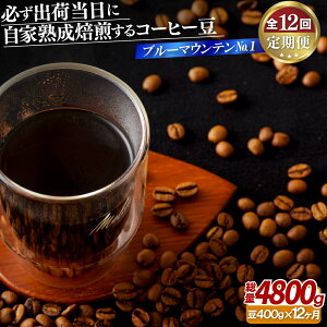 yӂ邳Ɣ[ŁzKoדɎƏnu[}EeNo.1(400g)y12ցz 240500~