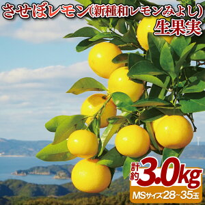 yӂ邳Ɣ[ŁzylCIzڃiVa݂悵)ʎ b VN   EG k t[c ӂ[ ʕ  _ƒ Yn Ԍ 퉷 Y B 