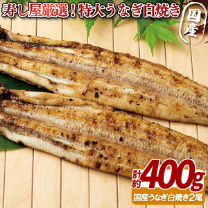 yӂ邳Ɣ[Łz I !  Ȃ   ( Y ) 400g v[g Mtg  p  Ε 䒆 Ε