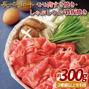 yӂ邳Ɣ[Łza ĂEԂԁESĂ 300g XCX Ă Ⓚ ō Mtg  ̂  䒆 Ε Ε a  јa