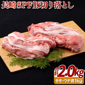 【ふるさと納税】長崎SPF豚切り落とし(2kg)セット
