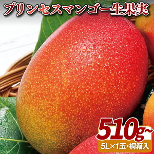 yӂ邳Ɣ[ŁzvZX}S[ʎ˔(5L)1