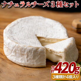 【ふるさと納税】〈チーズ工房Fiore〉ナチュラルチーズ3種セット