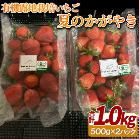 【ふるさと納税】有機露地栽培いちご「夏のかがやき」1kg 15000円