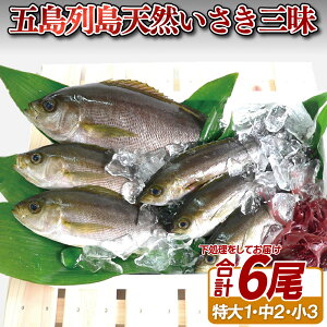 �y�ӂ邳�Ɣ[�Łz�ܓ��񓇓V�R�������O��