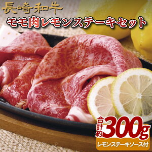 yӂ邳Ɣ[ŁzyÐhς Ԑgza Xe[LZbg 300g Xe[L\[Xt Ă Ԃ Ⓚ ō Mtg  ̂  䒆 Ε 