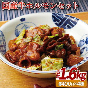 yӂ邳Ɣ[ŁzyzẌiz Y zZbg 4 v1.6kg iztj ے }`E  Rv` 咰 V}`E قٓ