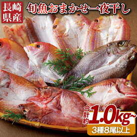 【ふるさと納税】【一夜干し 計1,000g以上！】長崎県産厳選！ 旬のお魚 おまかせ一夜干しセット 3種8尾以上 お届け 赤かます のどぐろ 連子鯛 くろむつ カサゴ いさき 鯛 甘鯛 さより 干物 ひもの 冷凍 長期保存可能 冷凍6ヶ月 ギフト 贈答 のし お中元 お歳暮