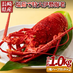 yӂ邳Ɣ[Łz茧Y 䥂  ɐCV 1 n[tJbg v1kg CY CN v[g Mtg 蕨  p  Ε 䒆 Ε