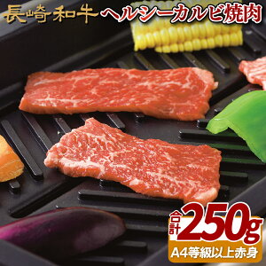 yӂ邳Ɣ[Łza wV[Jrē(250g) Ⓚ ō Mtg  ̂  䒆 Ε Ε a  јa ē BBQ