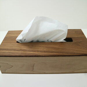 yӂ邳Ɣ[ŁzCastellaTissueCaseiJXeeBbVP[Xj