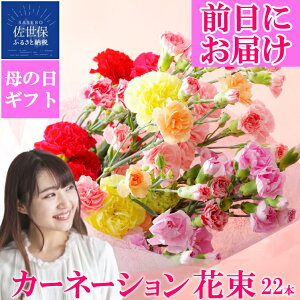 yӂ邳Ɣ[Łz̓Mtg J[l[Vԑ tY2026N429 Nx  Yn ؂ 22{ Ԕ_ƒ ̓ v[g Mtg ԑ  ؉ Bڒn揤