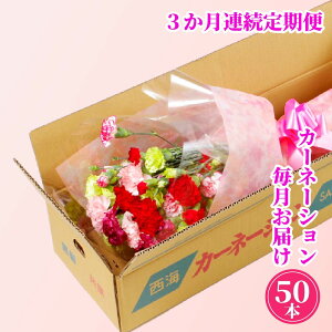 yӂ邳Ɣ[Łz J[l[V  S3 Nx ؂50{ l Ԕ_ƒ YJ[l[V Ԃ ̓ v[g Mtg  ؉ Ԃ̂炵 Bڒn