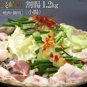 【ふるさと納税】 長崎牛ホルモン ワリチョウ(割腸) 1.2kg(焼肉・鍋用)