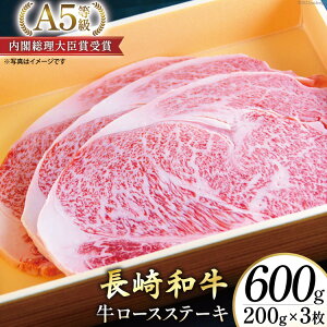yӂ邳Ɣ[Łz AG117a A5N [XXe[L 600gi200g×3j y A5 [X Xe[L a a Y  {  茧 s z
