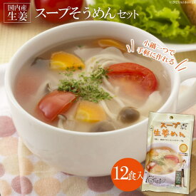 【ふるさと納税】 BD131若者のアイデアで進化　スープそうめんセット（生姜）12食