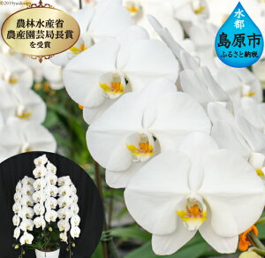 yӂ邳Ɣ[Łz ́hh@3{@8@45