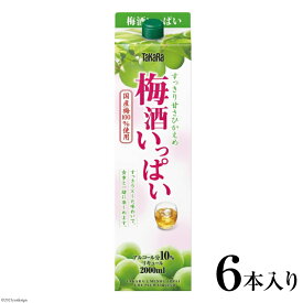 【ふるさと納税】タカラ「梅酒いっぱい」2L紙パック 6本入 【 梅酒 果実酒 焼酎 酒 タカラ Takara 宝酒造 島原市 送料無料 】