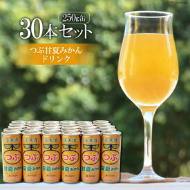 【ふるさと納税】つぶ甘夏みかんドリンクセット（250ml×30本）