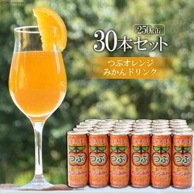 【ふるさと納税】つぶオレンジみかんドリンクセット（250ml×30本）