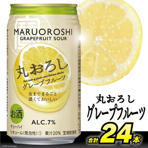 yӂ邳Ɣ[Łz CF067uۂ낵vO[vt[c350ml 24{y`[nC ʃ`[nC ʐnC T[ t[c T[  ^J  茧 s z
