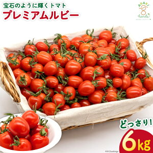 �y�ӂ邳�Ɣ[�Łz AH115 ��΂̂悤�ɋP���g�}�g �v���~�A�����r�[6kg �y �����s �g�}�g �_�ƒ��� �z